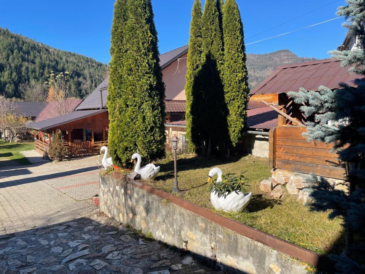Pensiunea Felyviss Albac Buitenkant foto
