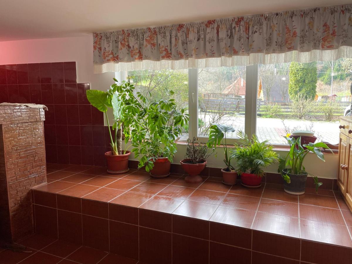 Pensiunea Felyviss Albac Buitenkant foto