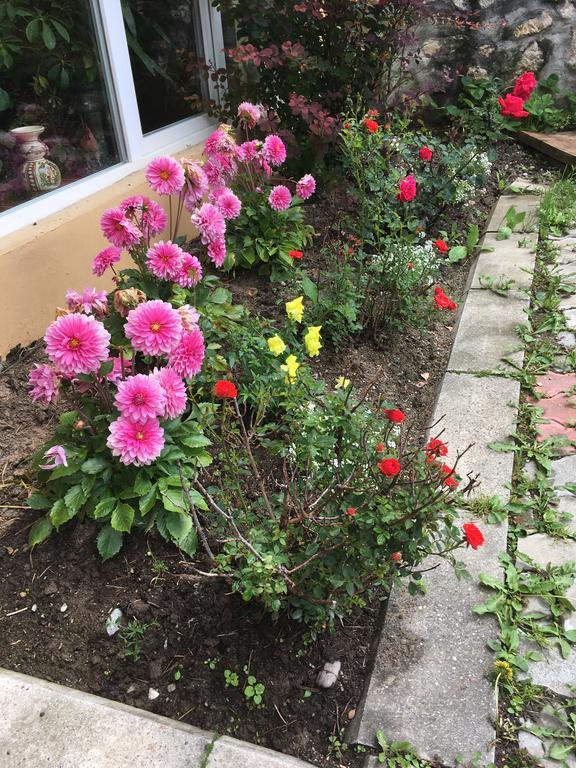 Pensiunea Felyviss Albac Buitenkant foto