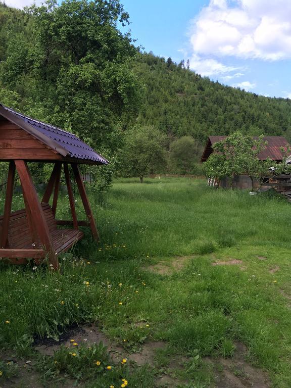 Pensiunea Felyviss Albac Buitenkant foto