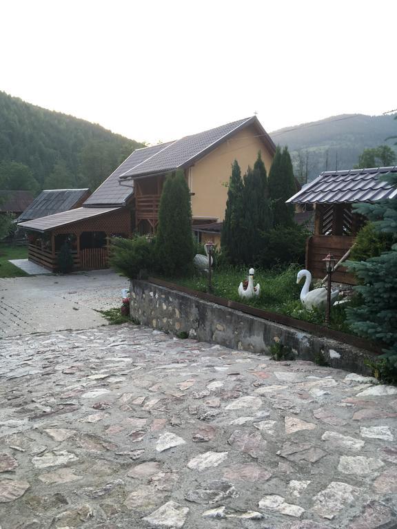Pensiunea Felyviss Albac Buitenkant foto