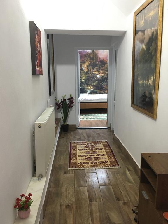 Pensiunea Felyviss Albac Buitenkant foto